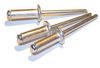 Flat head sealed blind rivet